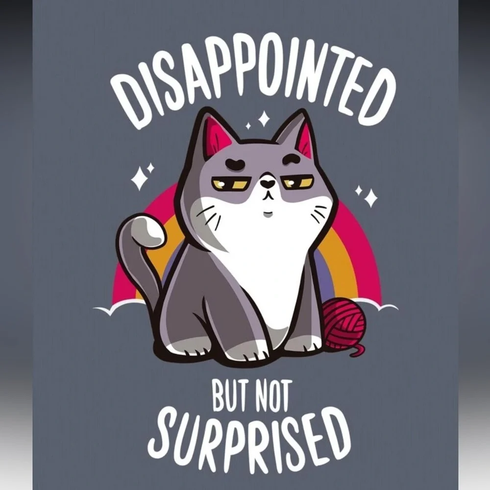 SHEIN || NWOT Gray Cat Attitude Oversized T-Shirt (M)
